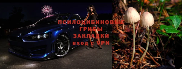ГАЛЛЮЦИНОГЕННЫЕ ГРИБЫ Корсаков