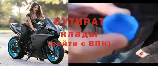 крисы Корсаков