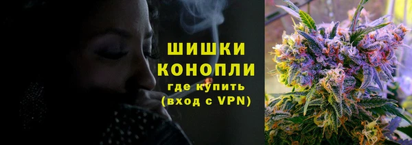 индика Костерёво