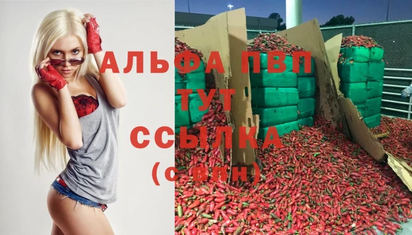 индика Костерёво