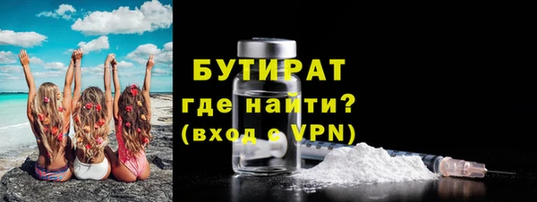 крисы Корсаков
