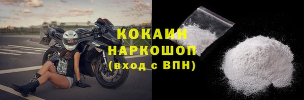 индика Костерёво