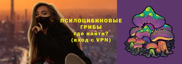 крисы Корсаков