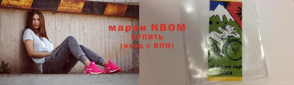 крисы Корсаков