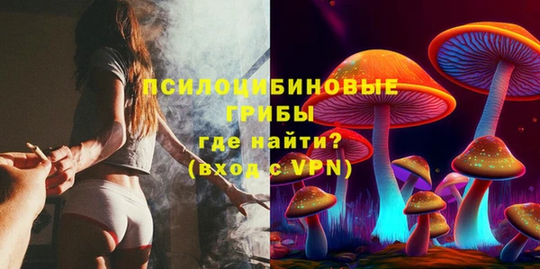 индика Костерёво