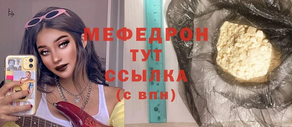 индика Костерёво