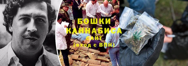 индика Костерёво