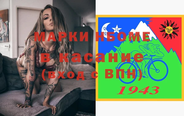 индика Костерёво