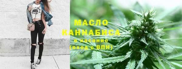 индика Костерёво