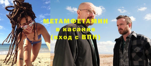 индика Костерёво