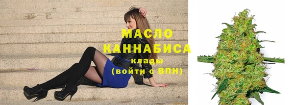 крисы Корсаков