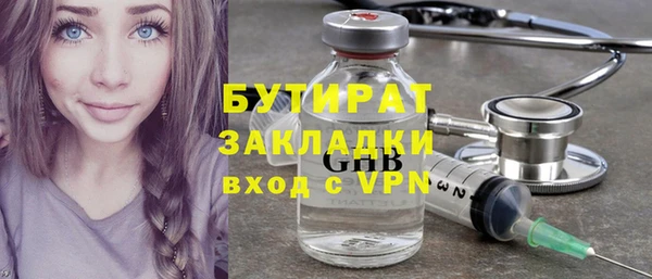 крисы Корсаков