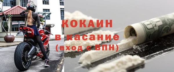 крисы Корсаков