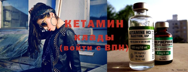 крисы Корсаков