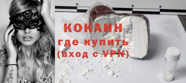 крисы Корсаков