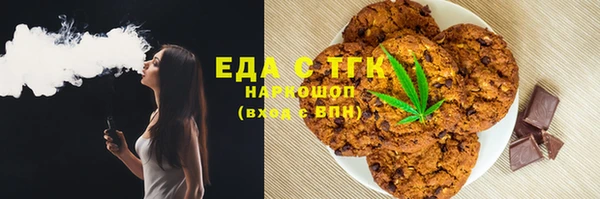 индика Костерёво