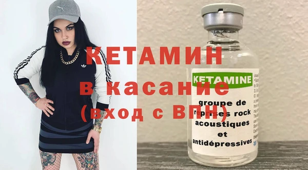 крисы Корсаков
