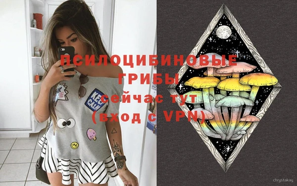 мяу мяу мука Билибино