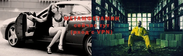 крисы Корсаков