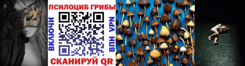 Псилоцибиновые грибы Psilocybine cubensis  закладки  Заозёрск 